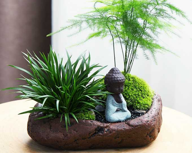 辦公室裝飾盆景擺設(shè)有哪些啥講究？